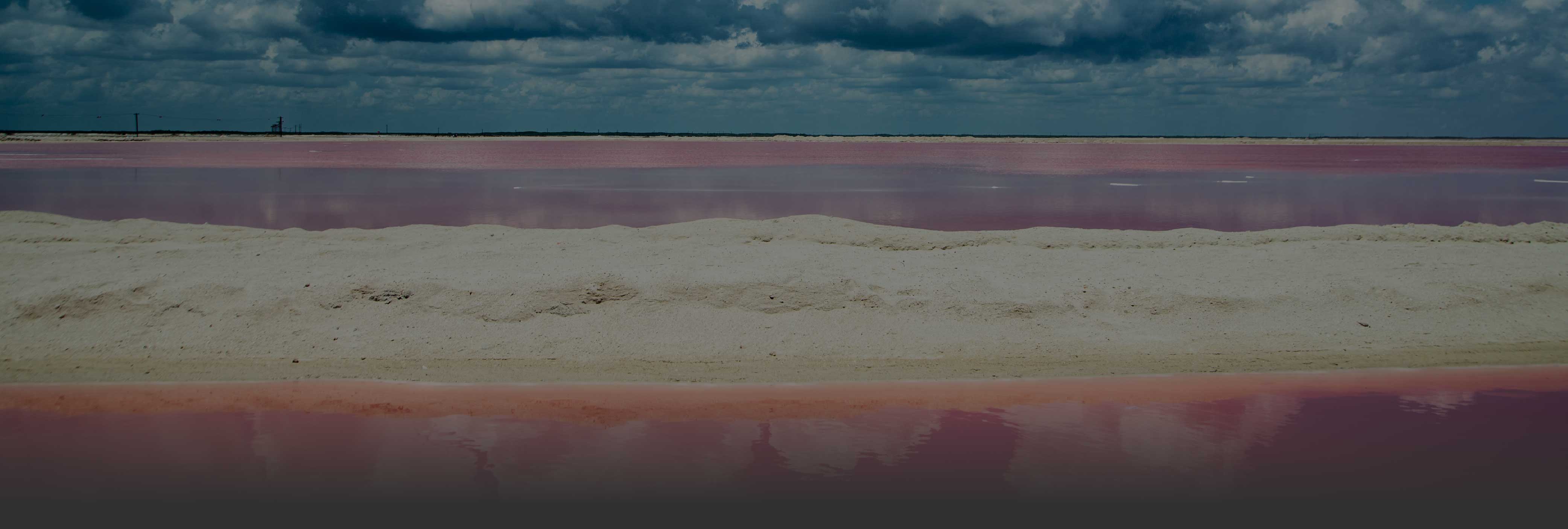 Foto de la playa rosada de Yucatán. Lugares para visitar en Yucatán te transportarán al pasado maya. Aventúrate en la selva yucateca, llena de lugares para visitar. Sumérgete en la belleza natural de Yucatán. No te cansarás de los lugares para visitar en Yucatán. Conoce las históricas haciendas yucatecas. Experiencias únicas te esperan en los lugares para visitar en Yucatán. Viaja por el tiempo en los sitios arqueológicos de Yucatán. Aprovecha cada momento en los lugares para visitar en Yucatán.